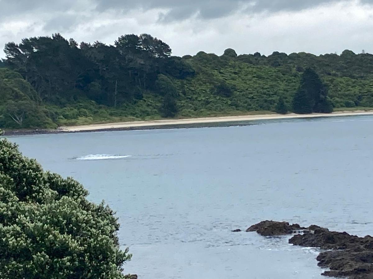 The Seahouse Lejlighed Kerikeri Eksteriør billede